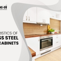 10 Characteristics of Stainless Steel Kitchen Cabinets | Why use Stainless Steel Kitchen